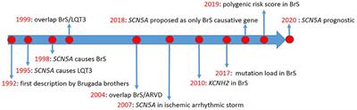 Evaluating the Use of Genetics in Brugada Syndrome Risk Stratification